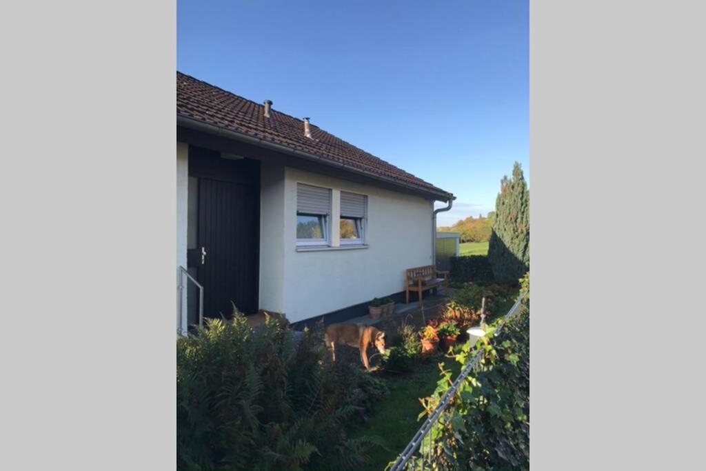 Appartement Region Esslingen - Naehe Messe - Flughafen - Stuttgart - Wohnen Und Arbeiten Auf Zeit In 120M2 Wohlfuehlatmosphaere - Ab 3 Uebernachtungen - Geeignet Fuer 4 Pers Incl Kinder - Beistellbett Moeglich - Kinder Und Tiere Willkommen - Garage F Altbach エクステリア 写真