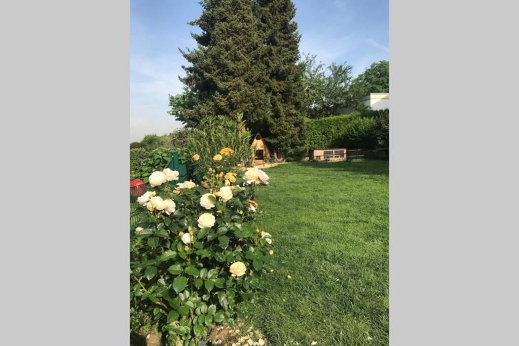Appartement Region Esslingen - Naehe Messe - Flughafen - Stuttgart - Wohnen Und Arbeiten Auf Zeit In 120M2 Wohlfuehlatmosphaere - Ab 3 Uebernachtungen - Geeignet Fuer 4 Pers Incl Kinder - Beistellbett Moeglich - Kinder Und Tiere Willkommen - Garage F Altbach エクステリア 写真